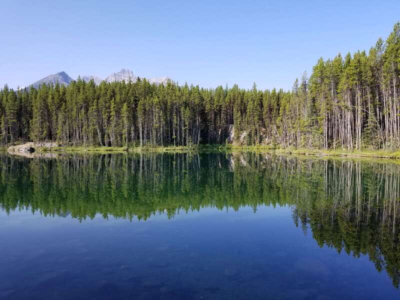 From Calgary/Banff: Columbia Icefield Glacier Full-Day Trip - Columbia Icefield Discovery Centre: the stop that makes the scenery click