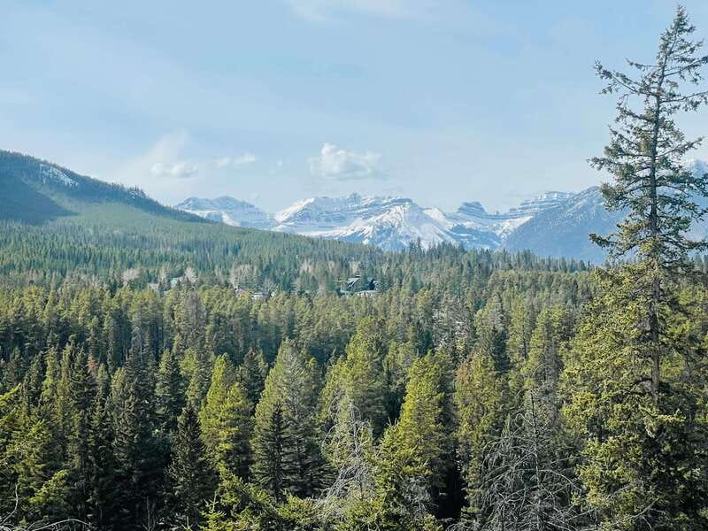 From Calgary: Banff, Moraine Lake and Lake Louise Tour - Guide and driver quality: why names like Habib and Azeez matter