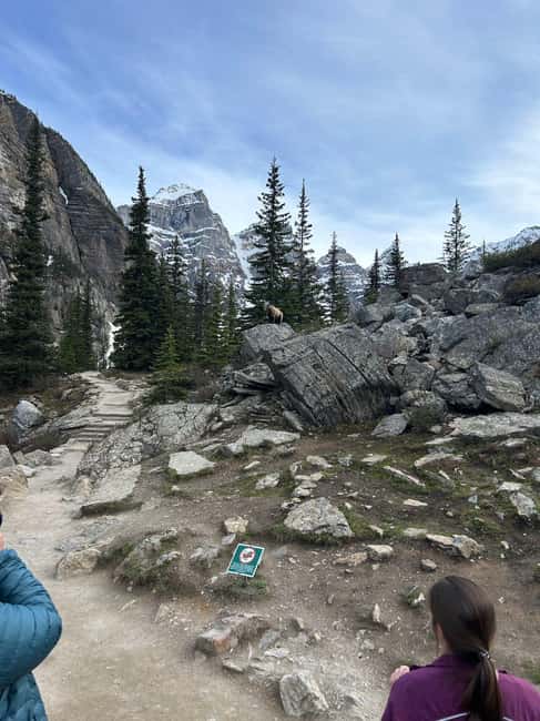 From Calgary/Banff: Moraine Lake & Lake Louise Half-Day Tour - Value Math: What You Pay for, and Why It Can Be Worth It
