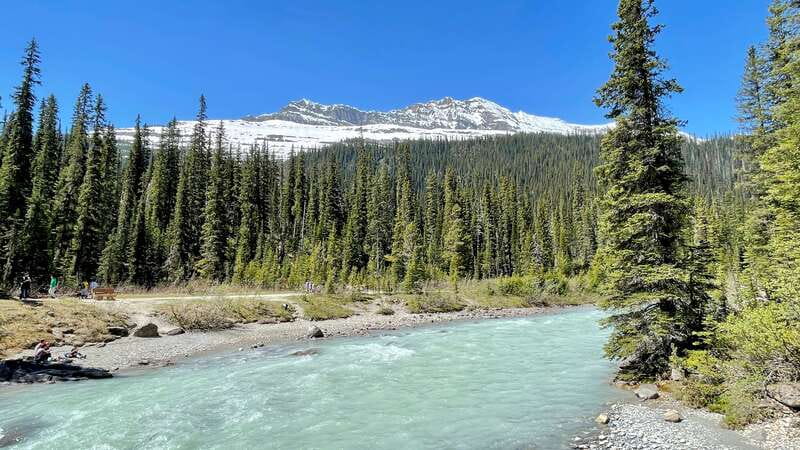 From Calgary: Banff & Yoho National Parks Private Day Tour - Price and value: is $748 per group worth it?