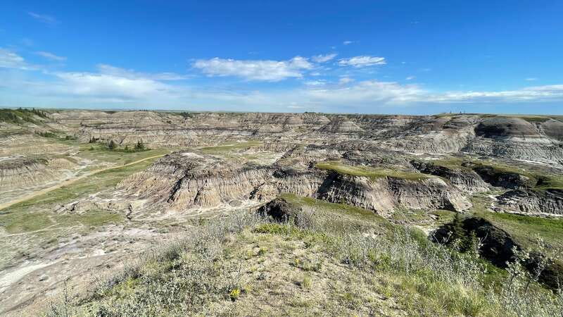 From Calgary: Canadian Badlands Private Geological Tour - Royal Tyrrell Museum: the reason fossil lovers will not stop smiling
