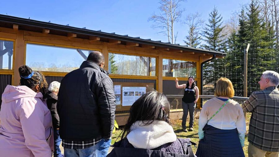 From Calgary to Banff: Day Trip with Wolfdog Sanctuary Visit - Wolfdog Sanctuary time: the human-made refuge you’ll be glad to learn about