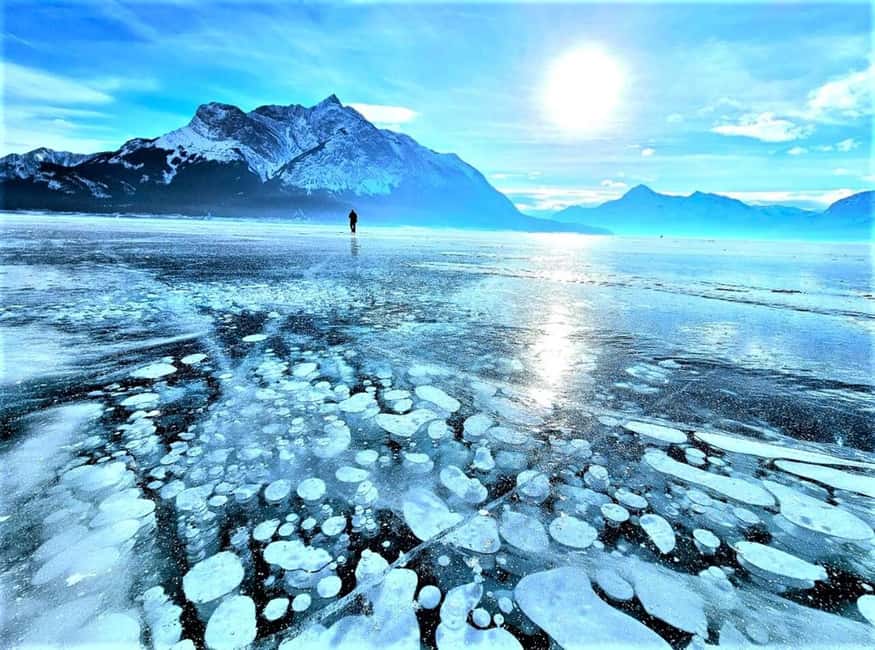 From Canmore/Banff: Icefields Parkway & Abraham Lake Bubbles - The Icefields Parkway drive: where the stops matter and how wildlife fits in