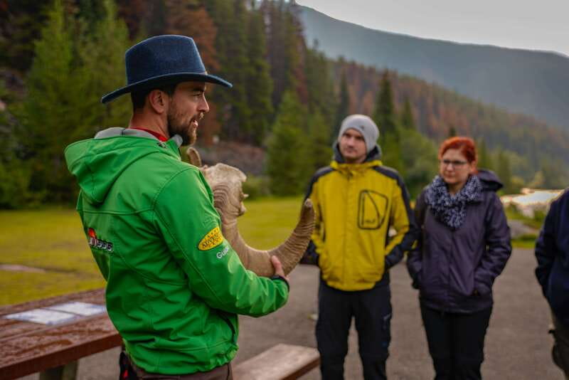 From Jasper: Jasper National Park Wildlife Discovery Tour - Inside Jasper National Park: Photo Stops, Scenic Views, Safe Wildlife Time