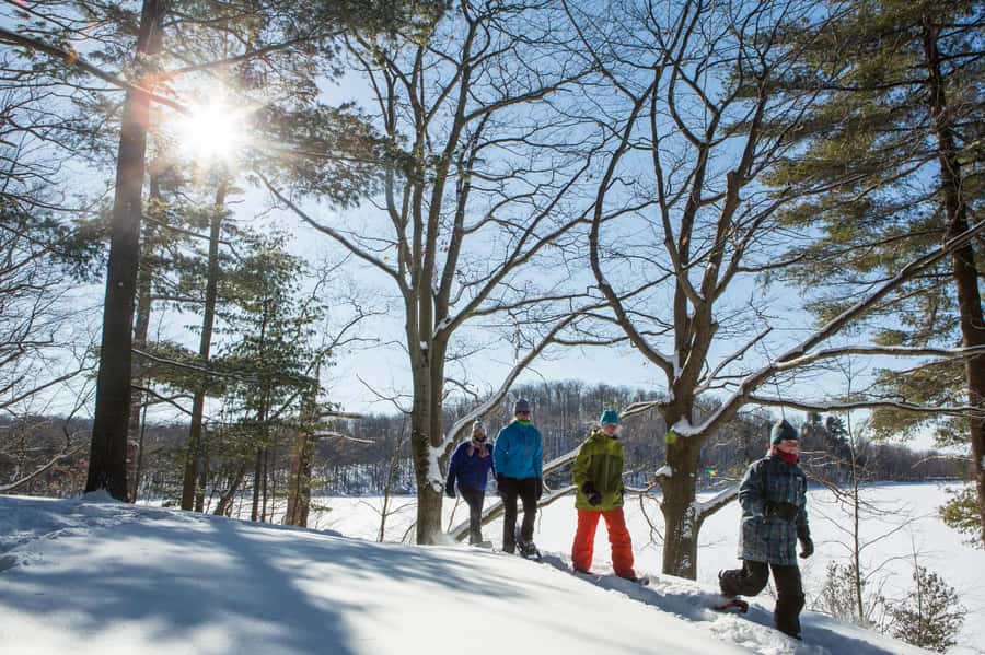 From Montreal: Mont-Saint-Bruno National Park Snowshoe Hike - Key highlights worth showing up for