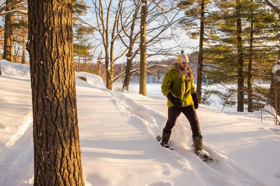 From Montreal: Mont-Saint-Bruno National Park Snowshoe Hike - The easy start: L’Hermine 3.7 km on snowshoes