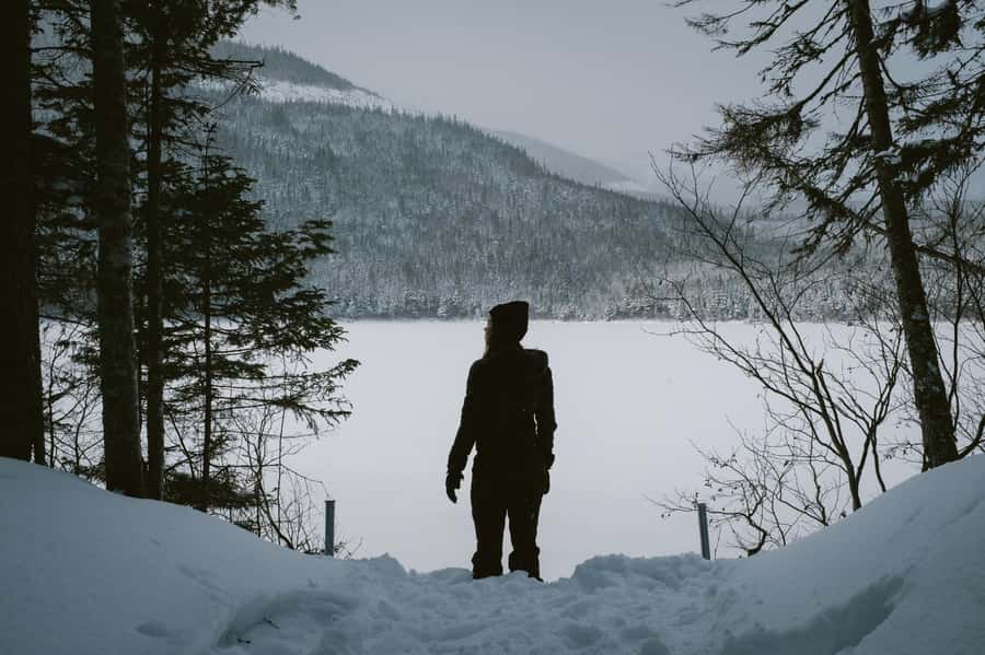From Montreal: Mont-Saint-Bruno National Park Snowshoe Hike - Getting oriented: the rental trailer at P1 and P2