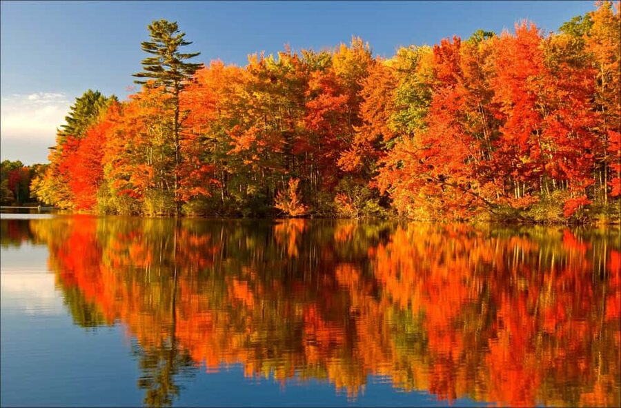 From Montréal: Mont-Tremblant 1-Day Tour - How This Mont Tremblant 1-Day Tour Works From Montreal