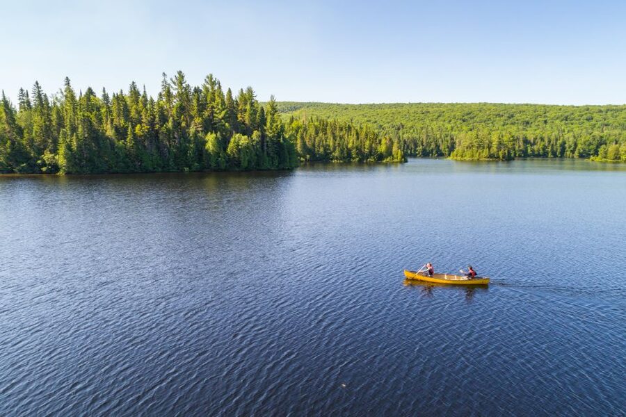 From Montreal: Mont-Tremblant National Park Hiking Day Trip - Lunch in the Forest: Picnic Time Around Noon