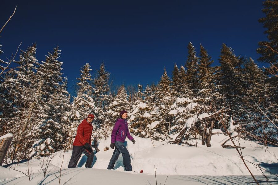 From Montreal: Mont-Tremblant National Park Hiking Day Trip - Optional Viewpoints: L’envol and Le Geai Bleu Routes
