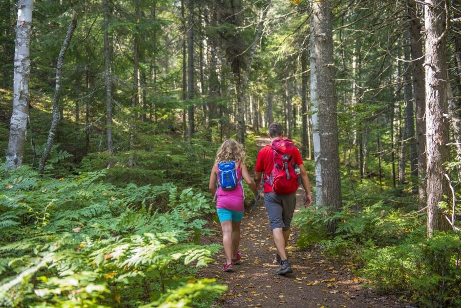 From Montreal: Mont-Tremblant National Park Hiking Day Trip - Timing Back to Montreal: 4 PM Return and 6 PM Arrival
