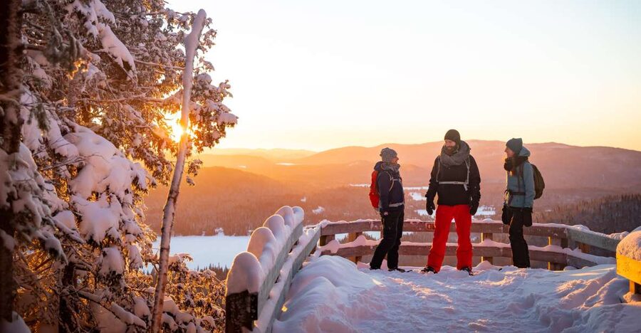 From Montreal: Mont-Tremblant National Park Hiking Day Trip - Start-of-Trip Briefing, then Real Trail Freedom