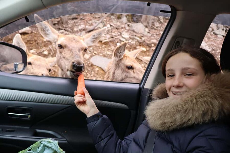 From Montreal: Omega Park Wildlife Safari Calling Sounds - The sound devices: how to turn hearing into better wildlife viewing