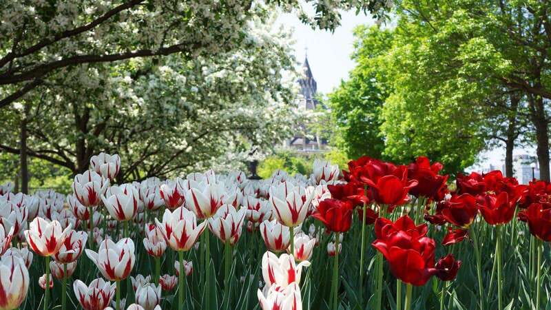 From Montreal: Private Ottawa Full Day Tour - Key Highlights at a Glance