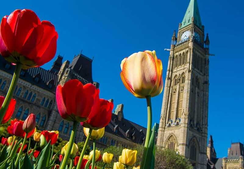 From Montreal: Private Ottawa Full Day Tour - Rideau Canal Time: Scenery You Can Enjoy Without Rushing