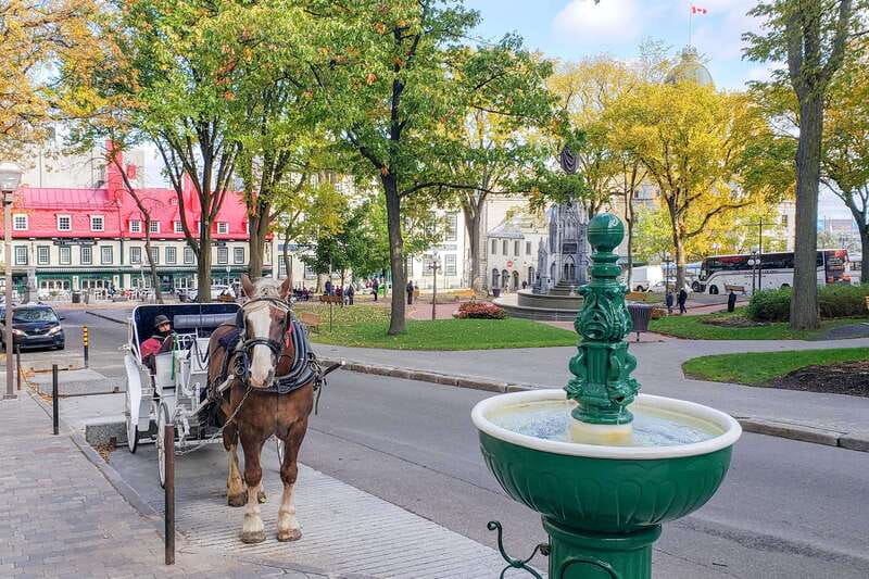 From Montreal: Quebec City and Montmorency Falls Day Trip - Grande-Allee and Chateau Frontenac: The Postcard Stops That Actually Help