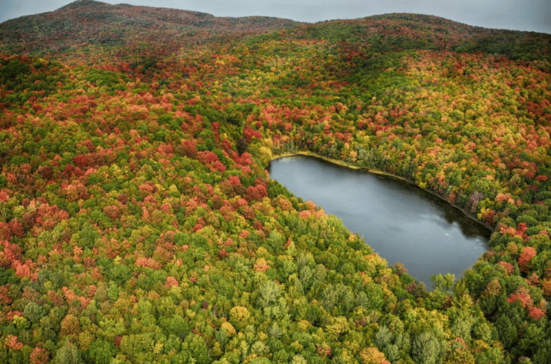 From Montreal: Scenic Montérégie Helicopter Tour - Who should book this helicopter tour from Montreal