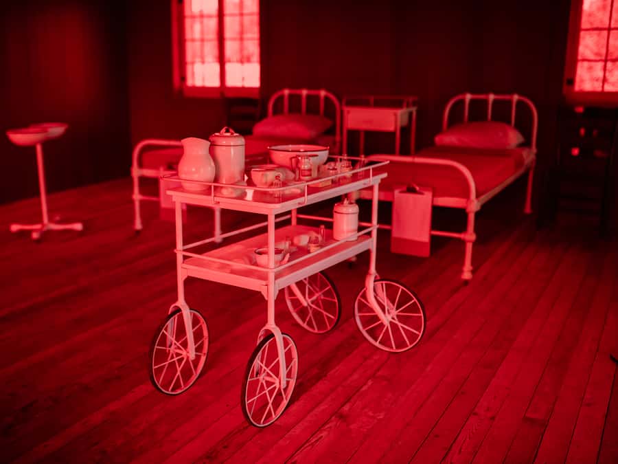 From Quebec City: Grosse Île Tour & Cruise + Bus Transfer - Costumed characters on the island: schoolteachers, nurses, and questions