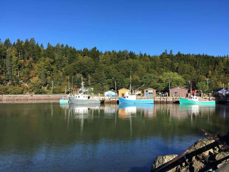From Saint John: Bay of Fundy Bus Trip for Cruise Passengers - First stop: Reversing Falls rapids and that bridge view