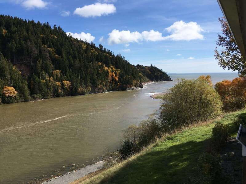From Saint John: Bay of Fundy Bus Trip for Cruise Passengers - Bay of Fundy exploration: more than a scenic drive