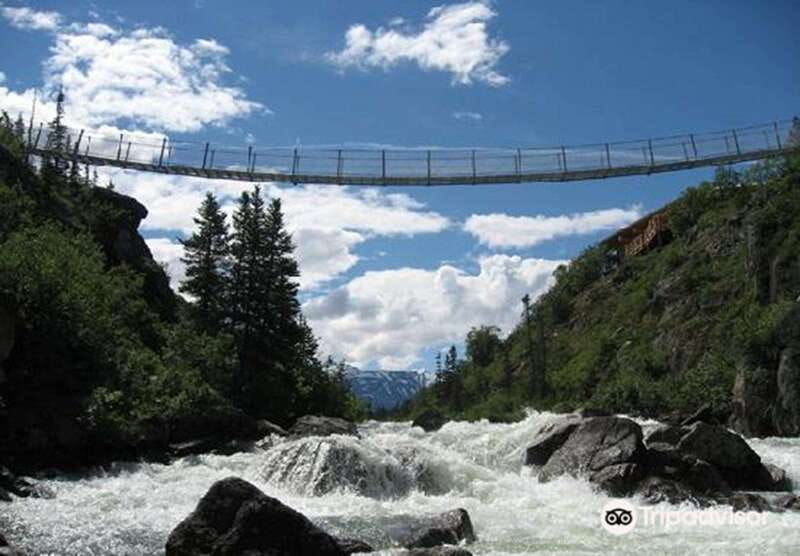 From Skagway: White Pass and Yukon Suspension Bridge Tour - White Pass Railroad views and glacier-country photo stops
