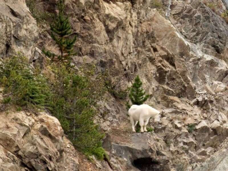 From Skagway: White Pass and Yukon Suspension Bridge Tour - Outdoor Interpretive Museum: First Nations and Gold Rush context you can actually use