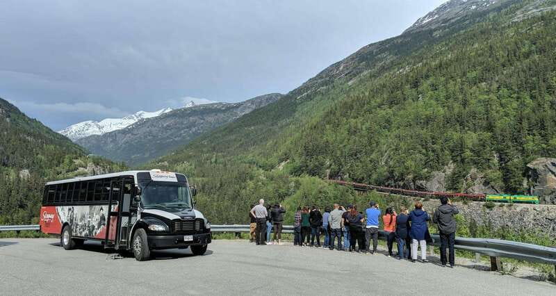 From Skagway: White Pass and Yukon Suspension Bridge Tour - Wildlife on the Tutshi River corridor: how to spot animals without missing the view