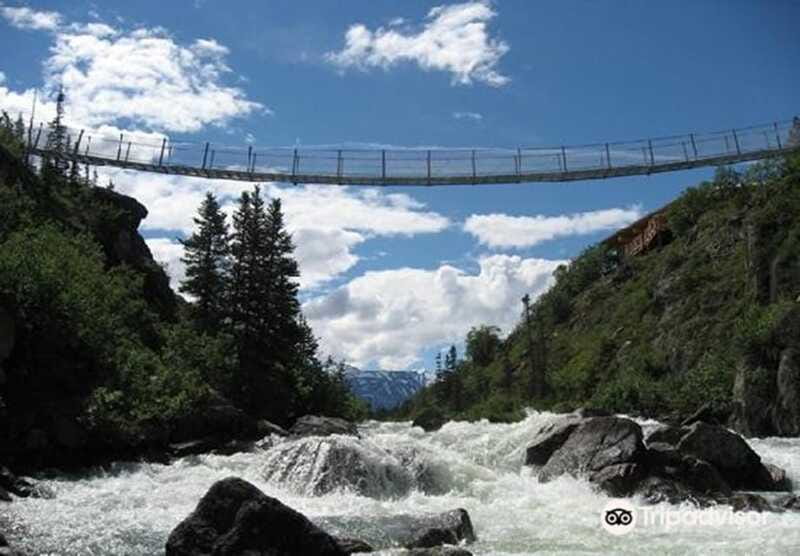 From Skagway: White Pass and Yukon Suspension Bridge Tour - Guides who make the drive worth your time: Drake, Monica, Daniel, Will, and more
