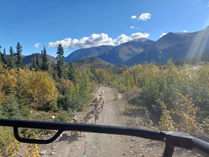 From Skagway: Yukon Sled Dog Mushing & White Pass Combo - Guide Power on the Bus: Why Names Like Noah and Trey Keep Coming Up