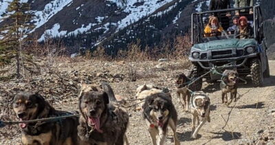 From Skagway: Yukon Sled Dog Mushing & White Pass Combo