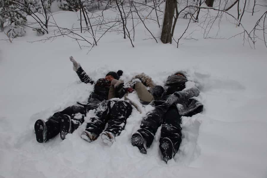 From Toronto: Snow Tubing and Snowshoeing or 1/2 Day Tubing - Snow Valley snow tubing: 2 hours, unlimited runs, and real adrenaline