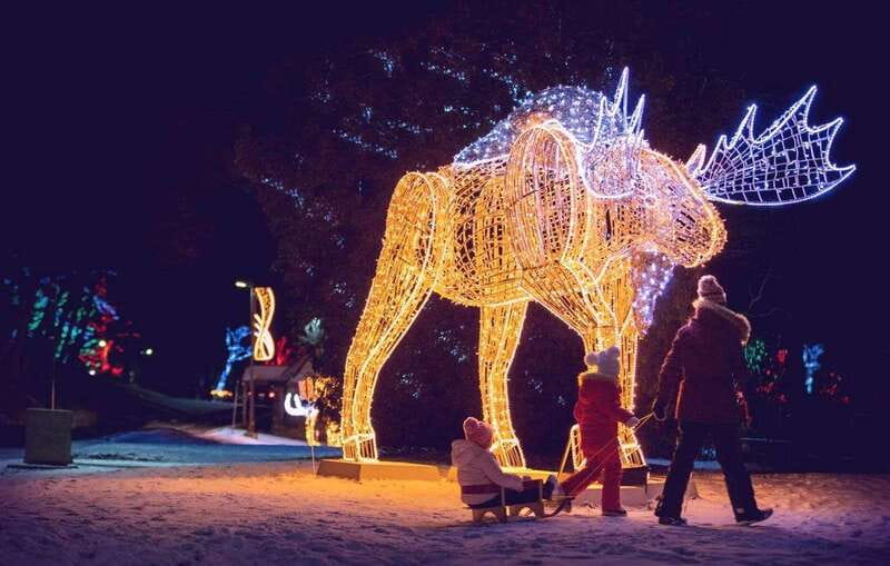 From Toronto: Winter Festival of Lights Niagara Falls Tour - Key things to know before you go