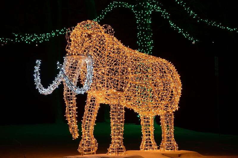 From Toronto: Winter Festival of Lights Niagara Falls Tour - Guide style, group pace, and the question of comfort stops