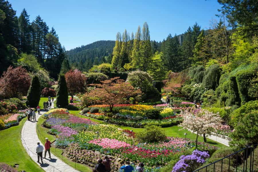 From Vancouver: Butchart Gardens & Victoria Sightseeing Tour - Meeting at the Vancouver Convention Centre and getting rolling