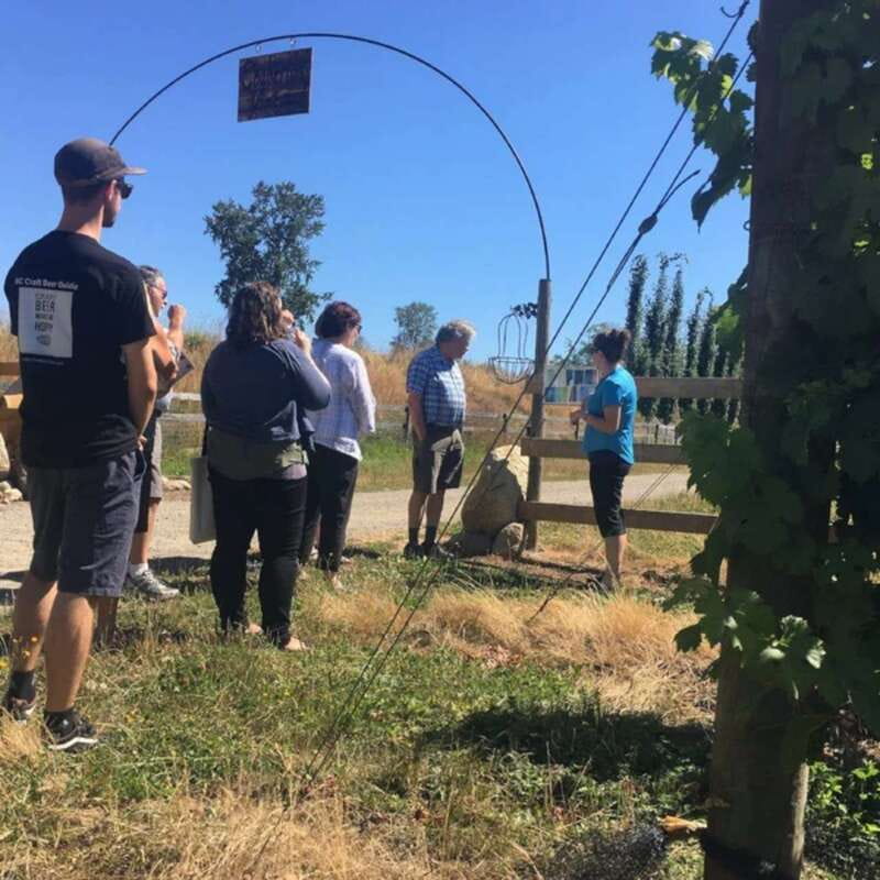 From Vancouver: Fraser Valley Wine Tour with Local Tastings - Price and value: is $131 per person a fair deal?