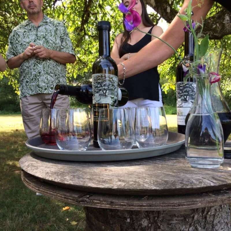 From Vancouver: Fraser Valley Wine Tour with Local Tastings - Live guide commentary is the real engine of the day