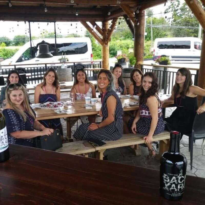 From Vancouver: Fraser Valley Wine Tour with Local Tastings - Pickup at Lions Pub, then straight into the Fraser Valley