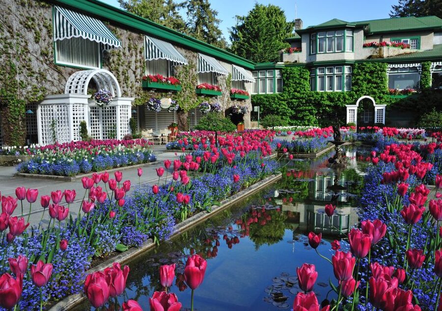 From Vancouver: Full-Day Victoria & Butchart Gardens Tour - Butchart Gardens: 55 acres in 90 minutes, so plan your route