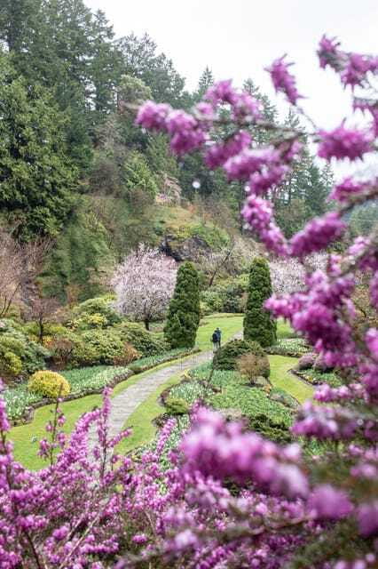 From Vancouver: Victoria, BC Ferry, Butchart Gardens Tour - Downtown Victoria: Guided Sightseeing Plus Freedom to Wander
