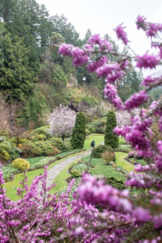 From Vancouver: Victoria, BC Ferry, Butchart Gardens Tour - Who This Trip Suits Best (And Who Should Skip It)