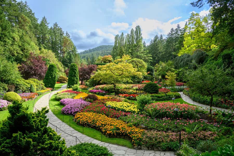 From Vancouver: Victoria Tour with Ferry & Butchart Gardens - A smooth 13-hour flow from Vancouver, ferry included