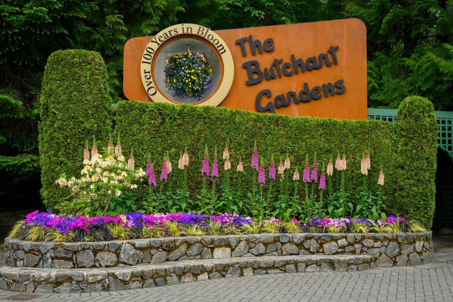 From Vancouver: Victoria Tour with Ferry & Butchart Gardens - Arriving in Victoria: Parliament, Empress Hotel views, and Government Street freedom