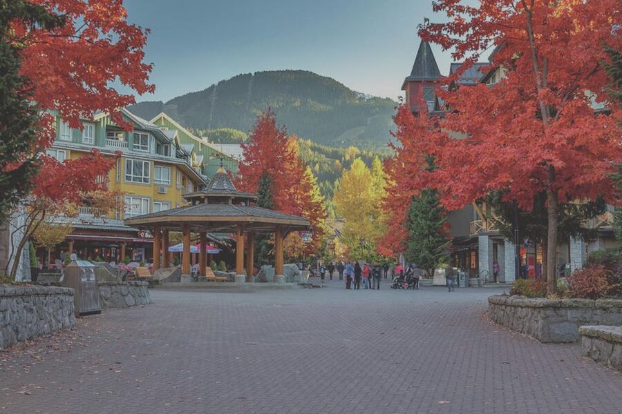 From Vancouver: Whistler and Shannon Falls Private Day Trip - Key things that make this day trip worth your time