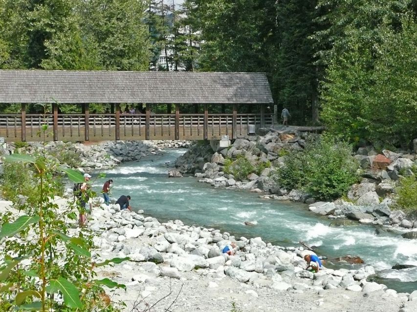 From Vancouver: Whistler and Shannon Falls Private Day Trip - Squamish and the Blackcomb Mountain Peak lesson, scenery with context