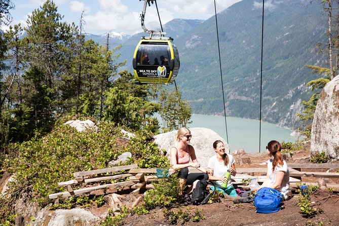 From Vancouver: Whistler & Sea to Sky Gondola with Shannon Falls - Sea to Sky Gondola at Habrich Ridge, Plus the Suspension Bridge