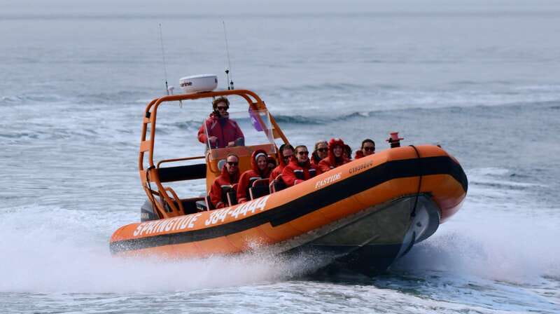 From Victoria: Whale Watching Tour by Zodiac Boat - Meeting at Wharf Street, then suiting up before the boat