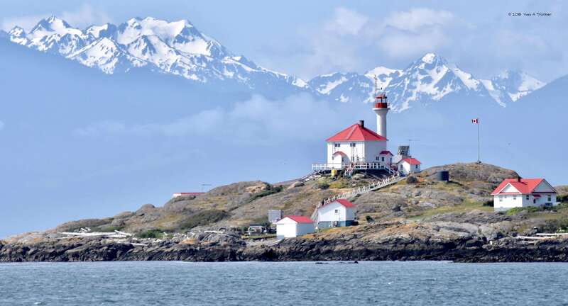 From Victoria: Whale Watching Tour by Zodiac Boat - Price in perspective: what $138 buys you