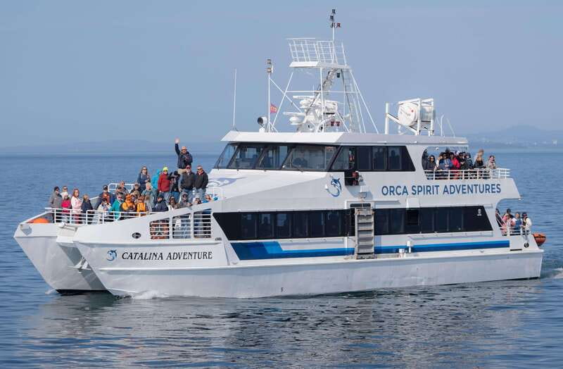 From Victoria: Whale Watching Trip on Covered Boat - Victoria Whale Watching on a Covered Boat: What the 3 Hours Really Feels Like