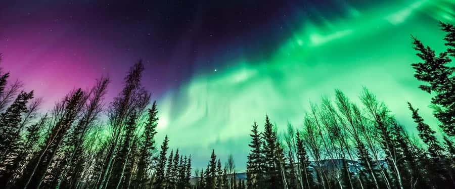 From Yellowknife:4-Day Aurora Viewing Tour with Hotel Pickup - Key things about this Yellowknife aurora tour