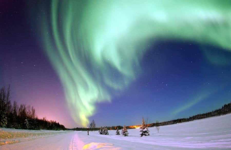 From Yellowknife:4-Day Aurora Viewing Tour with Hotel Pickup - Language, group flow, and the one drawback to watch